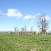 Parco Einaudi 5