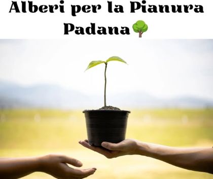 🌳Alberi per la Pianura Padana🌳