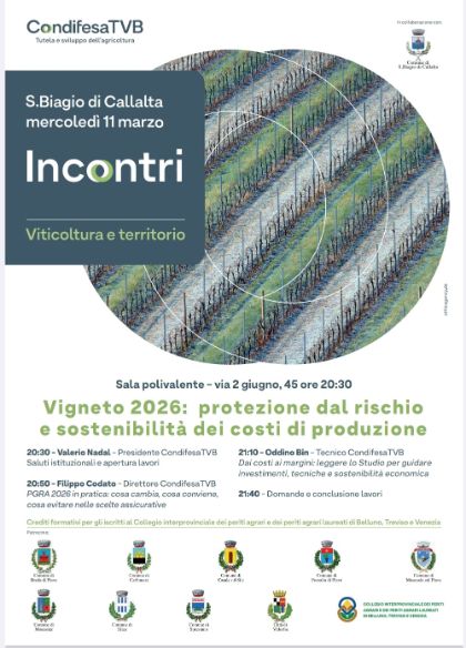 🌱 Incontri – Viticoltura e territorio 🍇
