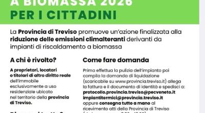 Bando pulizia impianti a biomassa