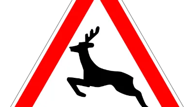 CARTELLO ANIMALI CARTELLO ANIMALI